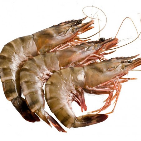 Crevettes crues décongelées