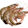 Crevettes crues décongelées
