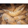 Crevettes ordinaires