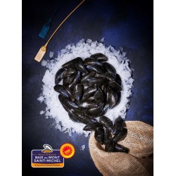 Moules Saint Michel