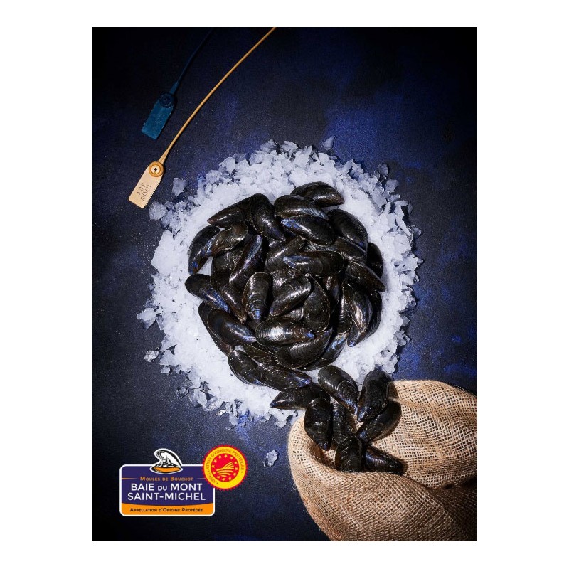 Moules Saint Michel