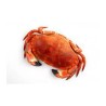 Crabe cuit