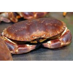 Crabe cuit