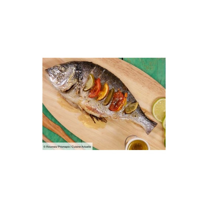 Dorade royale