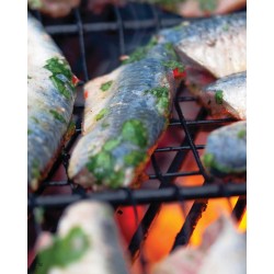 filets de sardine