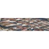 Filets de sardine marinés