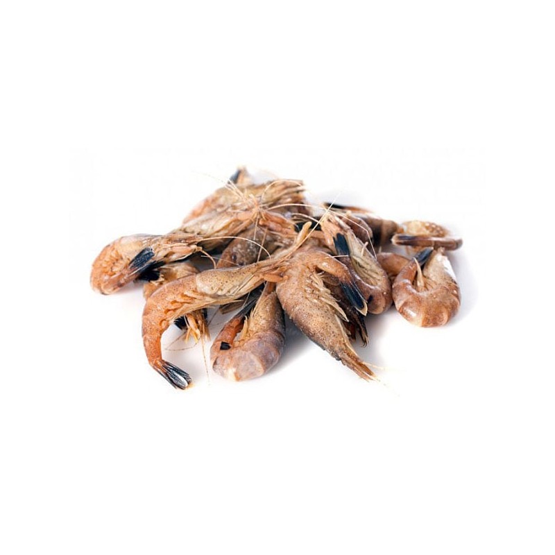 crevette grise